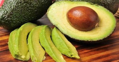 avocado processing market