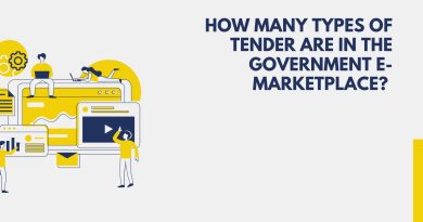How many types of tender are in the government e-Marketplace
